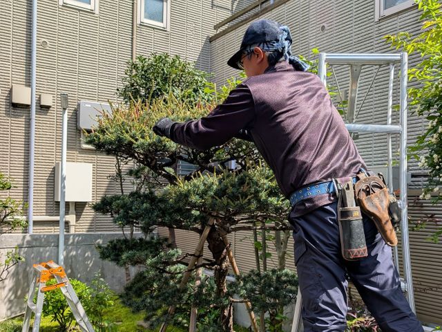 経験25年・国家資格2つ保有！理想の仕上がりを実現します
