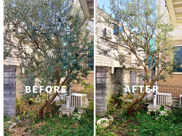 剪定の先に、心地よい暮らしを。