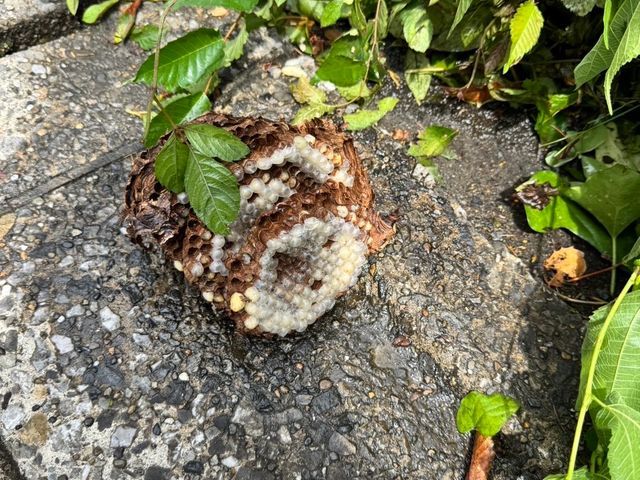 作業外注一切なし◎高い技術力でスピード解決！最短30分で対応します！