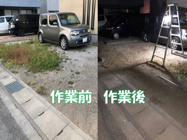 《女性スタッフも活躍中》安心の損害保険加入済み！当店スタッフが必ず伺います♪