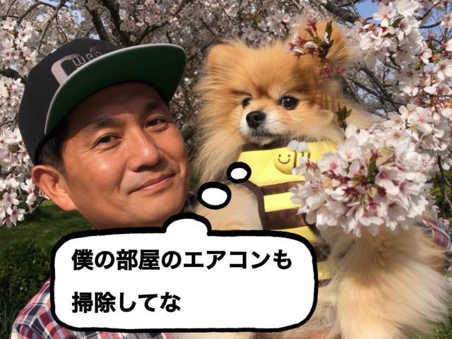 ペット同居で最近エアコンからの臭いが気になりはじめた方へ、特に多頭飼いの方