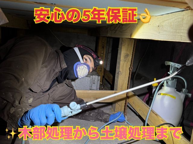 【まずは相談から！】羽蟻を見つけたらシロアリのサイン。素早い対処で被害を防ぐ