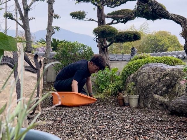 元公務員のパパ便利屋が「手作業」で根こそぎ除草！お子様・ペットも安心の施工