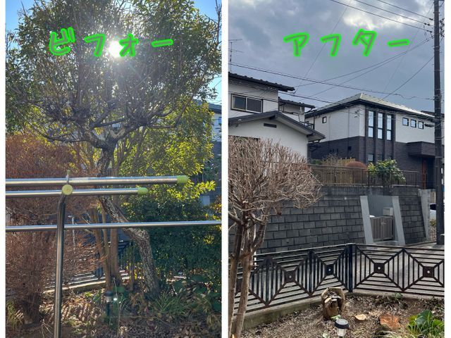 地域密着！経験10年以上、2級造園施工管理技士による伐採•抜根作業☆冬季限定価格