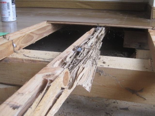 業界20年以上の実績、安心、安全、丁寧を日頃から心がけて提供しております。