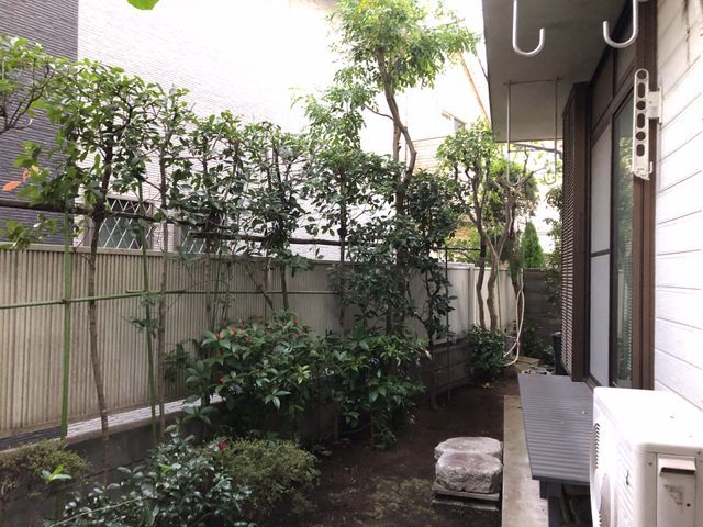 低木から高垣まで 生垣等刈り込みいたします 青景穂月造園の植え込み 生垣の剪定 くらしのマーケット
