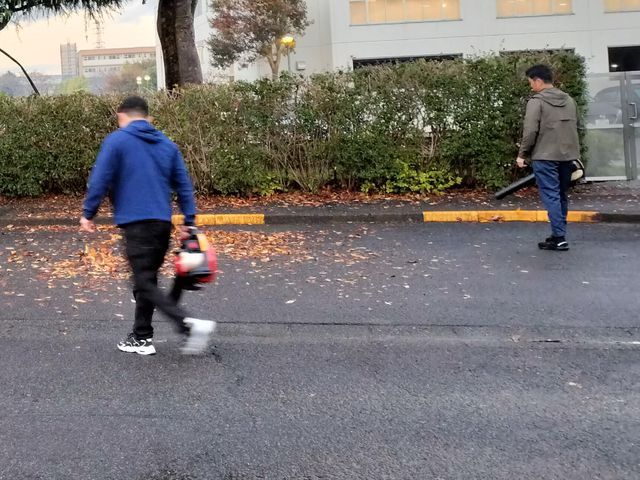 庭を美しく蘇らせる匠の技 ★写真でお見積りできます