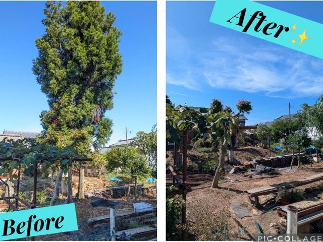 令和7年8月出店◎地域密着50年！ご家族みんなが安心できるように【新潟市発】