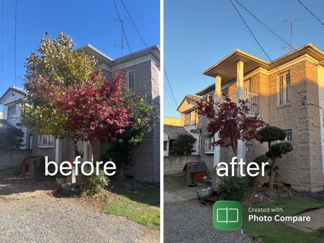 4年の実績と丁寧な作業！女性スタッフ同行可！自社スタッフが対応（禁煙者）