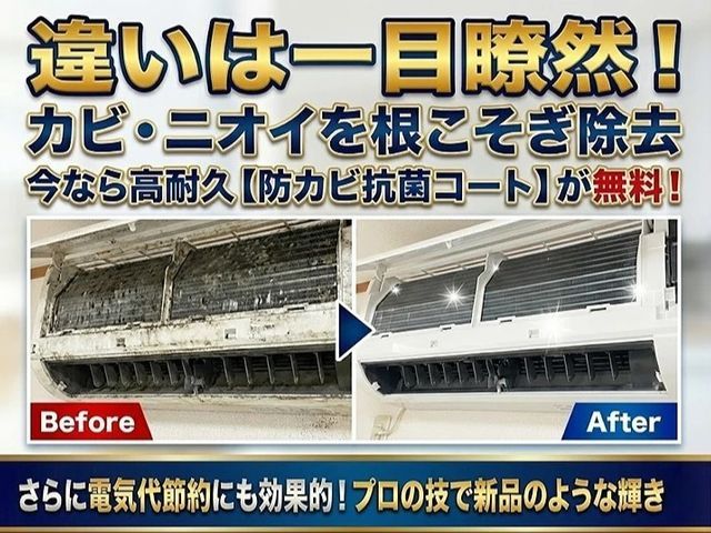 【先着10名限定・新規出店記念で地域最安値！】