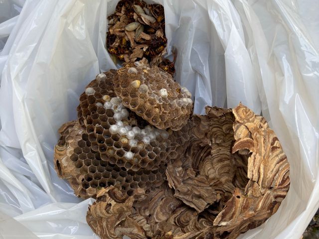 大手経験を活かした店長直接対応！アフターフォロー多数充実の訪問サービス