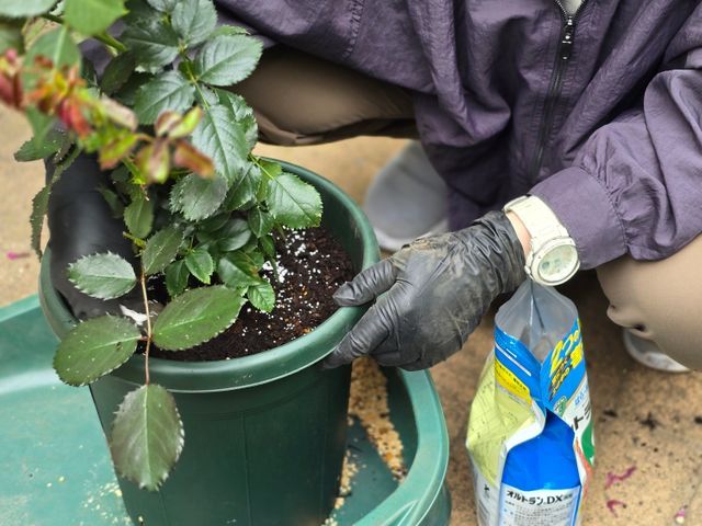 お見積り無料ですので、まずはお気軽にお問い合わせください❀