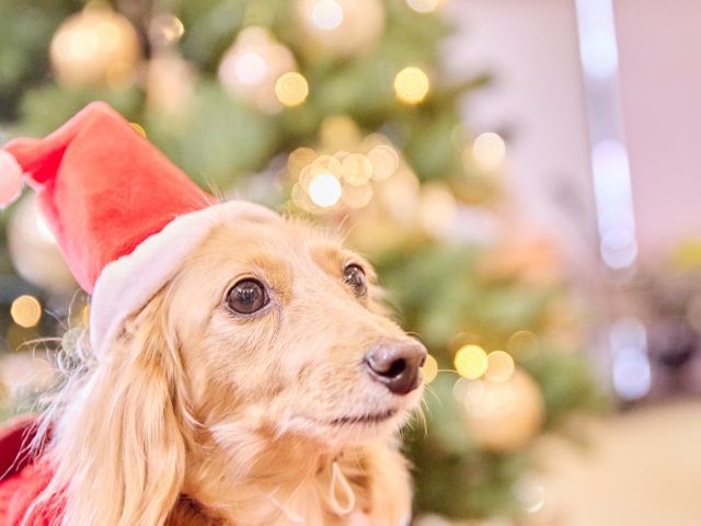 【カメラ歴10年の腕前！】24時間受付可能◎最短当日納品もご対応致します◎