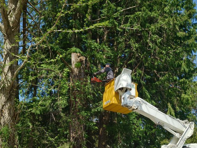 お庭の事ならおまかせ下さい！プロの仕上がりに納得！料金はご要望にお応えします。