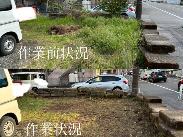 草むしり(手作業)