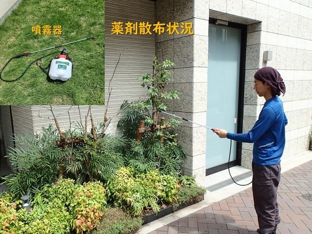◎10年の実績◎造園技能士◎損害保険加入◎継続して選ばれる仕事をご提供