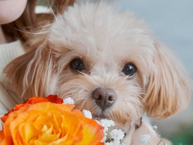 プロの技術でご満足いただけるように心を込めて撮影いたします