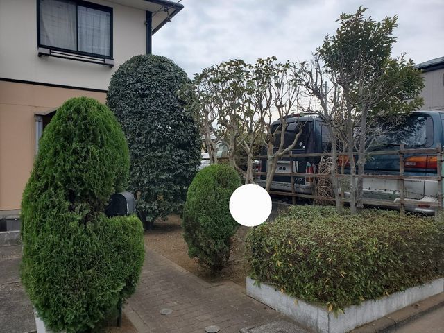 自社スタッフ100%対応！夏真っ盛り☆理想のお庭を一緒に目指しましょう