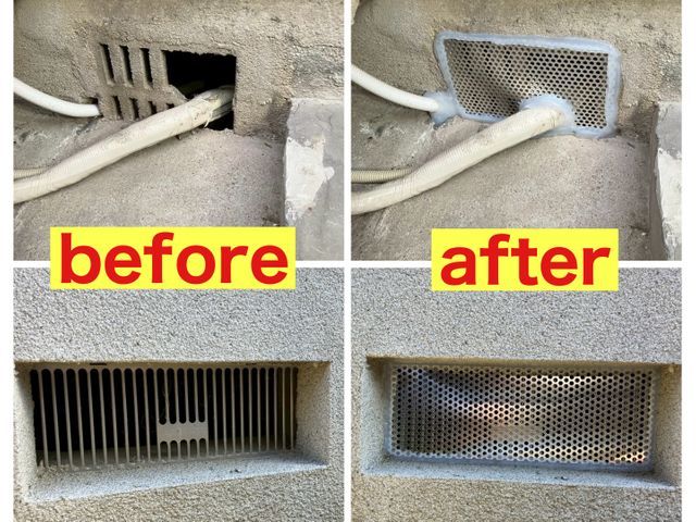 害虫駆除の専門家！害獣害虫駆除王だから安心して依頼できるネズミ駆除！