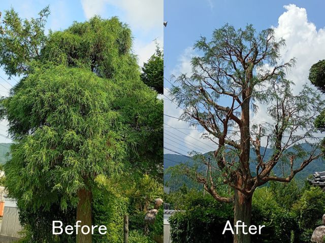 【お客様のお庭を素敵な空間に!!】和風なお庭から洋風なお庭まで幅広く対応します。