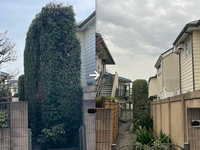 安全に配慮し、状況に合わせた伐採抜根を行います。