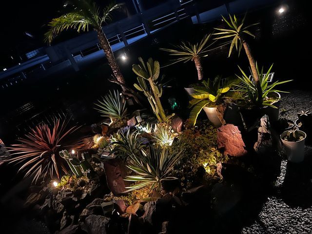 ドライガーデン・花植えなら当社にお任せください！