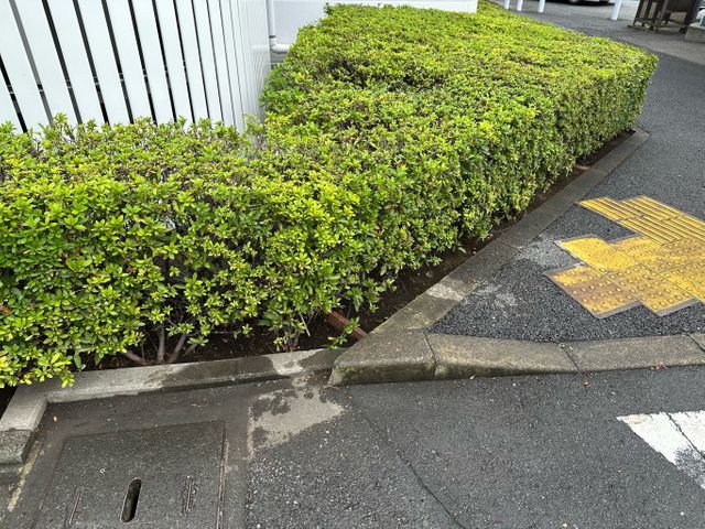 植え込み・垣根の剪定