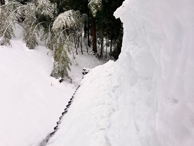 大雪にお困りではありませんか？雪かき雪下ろし致します！