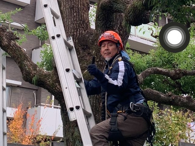 外観を意識した仕上がり◆女性スタッフ同行可能◆損害保険あり◆松対応可能