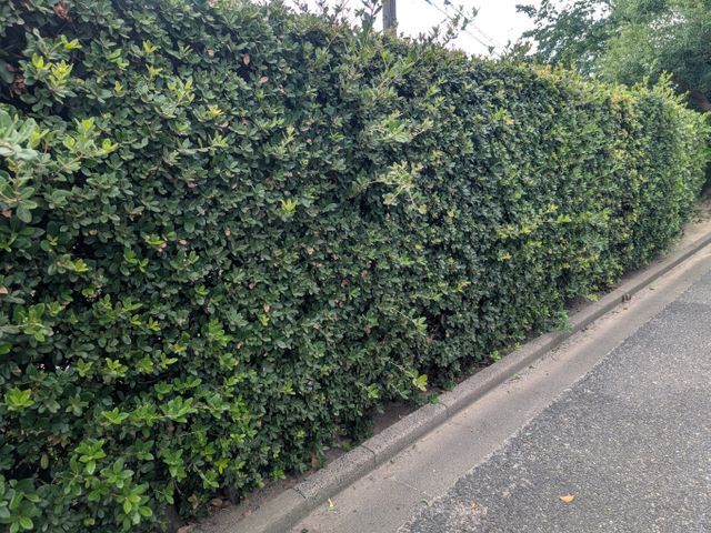 【業界25年！100％自社対応！】豊富な知識・経験を活かしてご対応いたします！