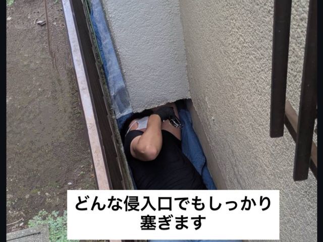どんな現場でもネズミを必ず完全駆除！すべての侵入口を塞ぎます！無料見積もり可能