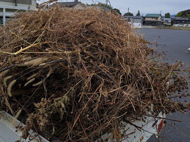 【農家歴12年のプロが安全資格でお庭を美しく】女性スタッフも可能◎