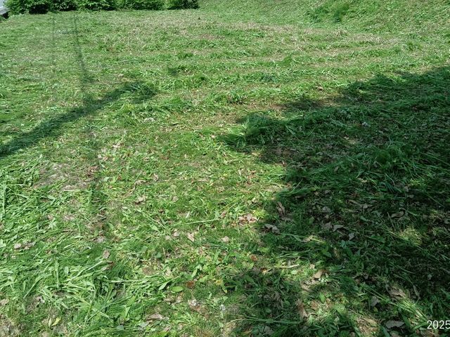 草刈り（機械）