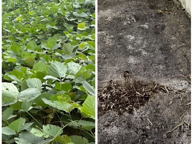 店長訪問で安心！即日相談可/時間外可/立合い無しも◎/有料駐車場代無料☆