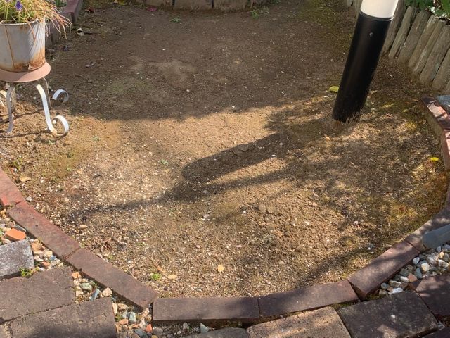 植物を愛する植木屋が見極める草刈り！必要な植物はしっかり残します。