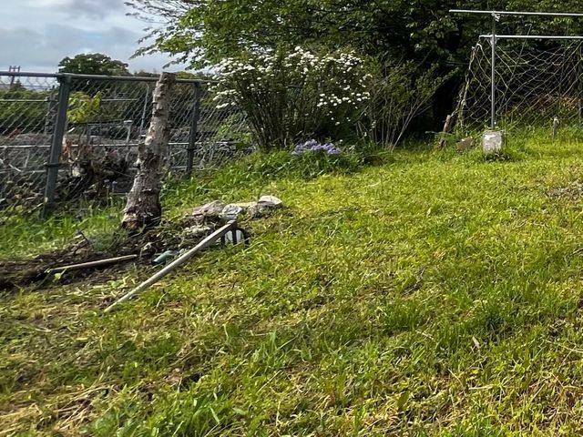 草むしりとお庭の相談&アドバイス