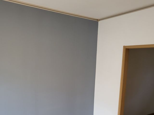 壁紙染色施工☆クロスアート☆クロスを再生いたします！消臭・抗菌・空気浄化作用ありサービスの画像