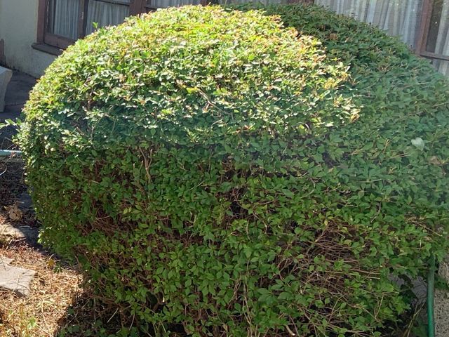 【業歴10年の実績】予約から作業まで全て自社対応◎対応地域外も対応可能