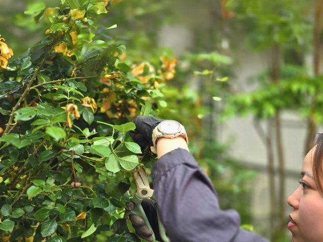 お見積り無料ですので、まずはお気軽にお問い合わせください❀
