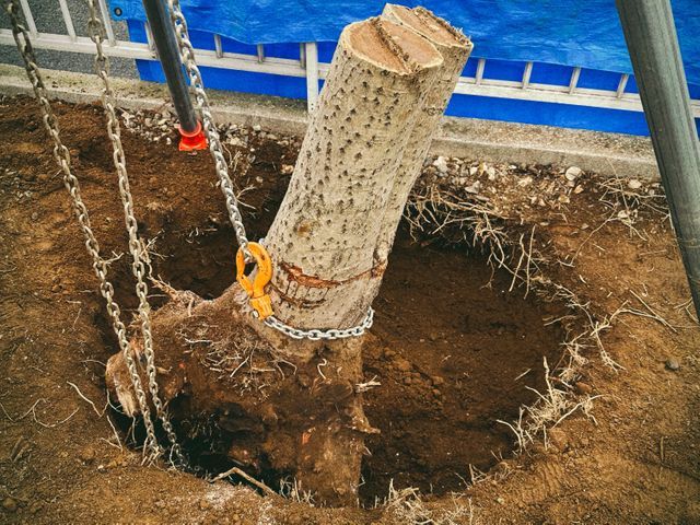 女性スタッフ活躍中☆すべて自社対応◎豊富な経験と知識で安心！