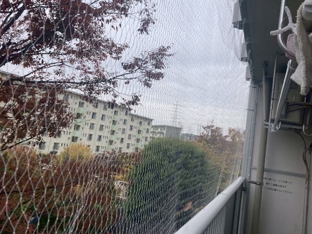 【最短即日対応】ハト対策・防鳥ネット施工｜清掃・消毒まで一括対応