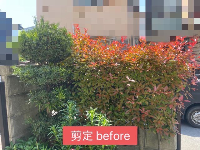 【年中無休で営業中】小さいものから大きいものまで剪定対応可能です！