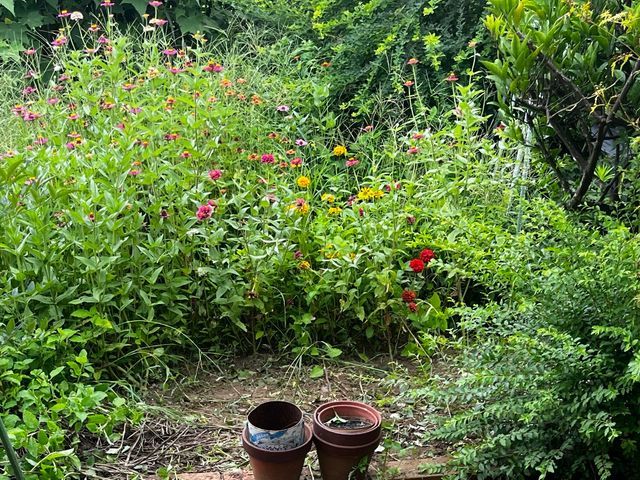 プロの技術でご満足いただけるように心を込めて作業いたします