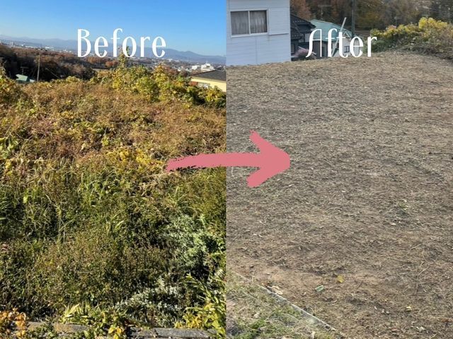 伸びる前に一気に対応！お庭も広い土地も丁寧、綺麗に仕上げます。