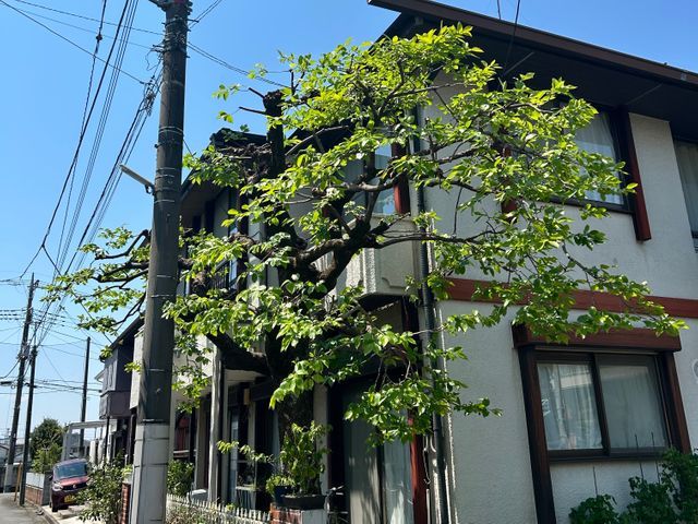 和風、洋風、自然樹形も！豊富な経験が生み出す希望を叶える匠技！