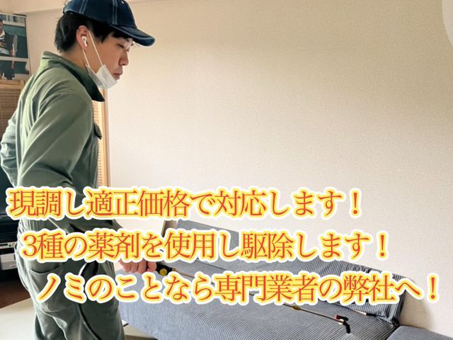 国家資格保持者によるノミ駆除、対策！もう刺されたくないを実現します！即日可能！