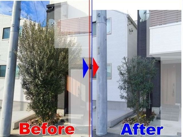 歴60年のベテラン庭師が対応。庭木の事ならなんでもご相談ください