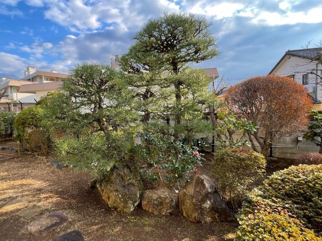 大切な庭木をキレイに整えます。経験と知識を活かして迅速丁寧に作業いたします！