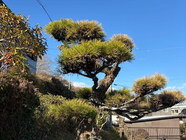 【外注作業一切なし◎】お客様の理想通りの仕上がりをお約束