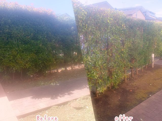 【業歴20年】丁寧！迅速作業‼︎ご相談下さい‼︎